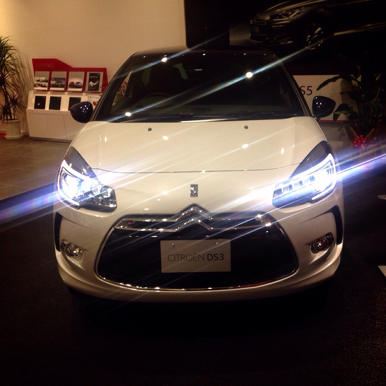 DS3展示完了!!