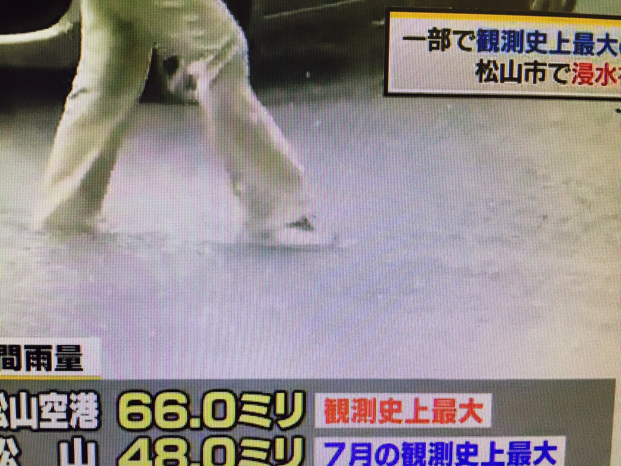 昨日は大雨