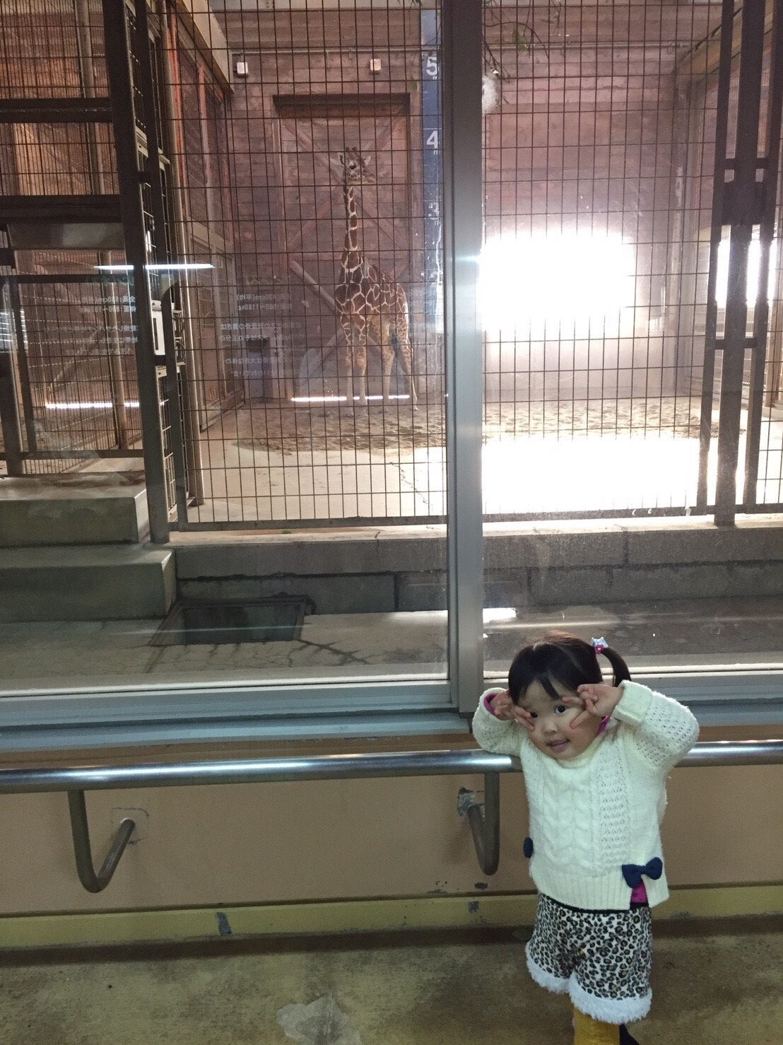 あけましておめでとうございます‼︎