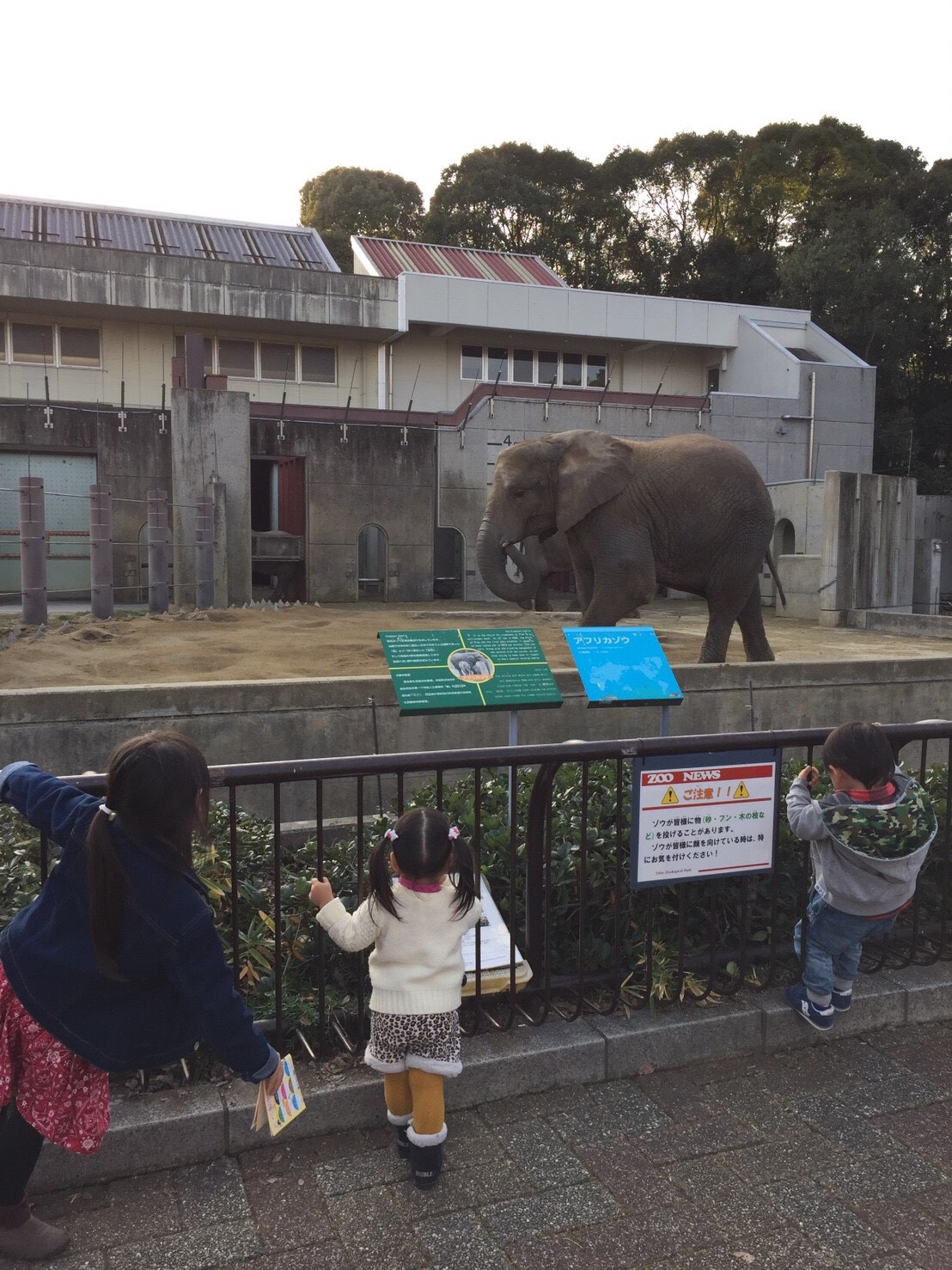 あけましておめでとうございます‼︎