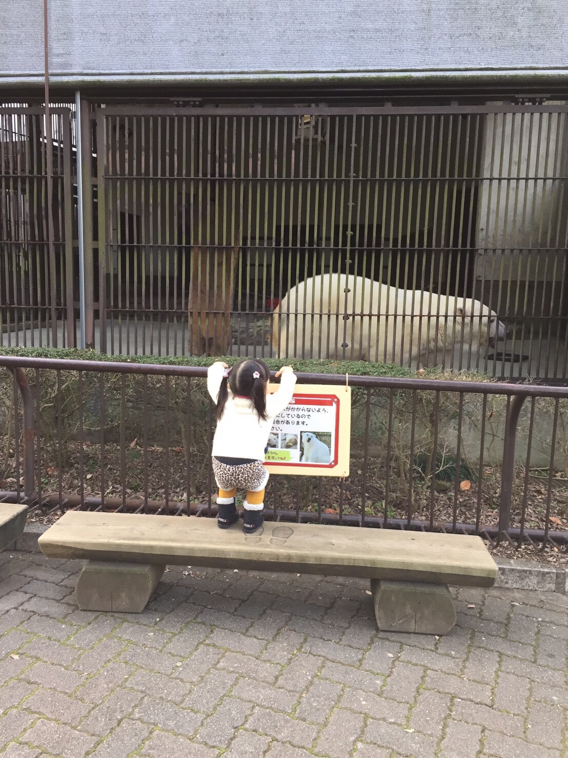 あけましておめでとうございます‼︎