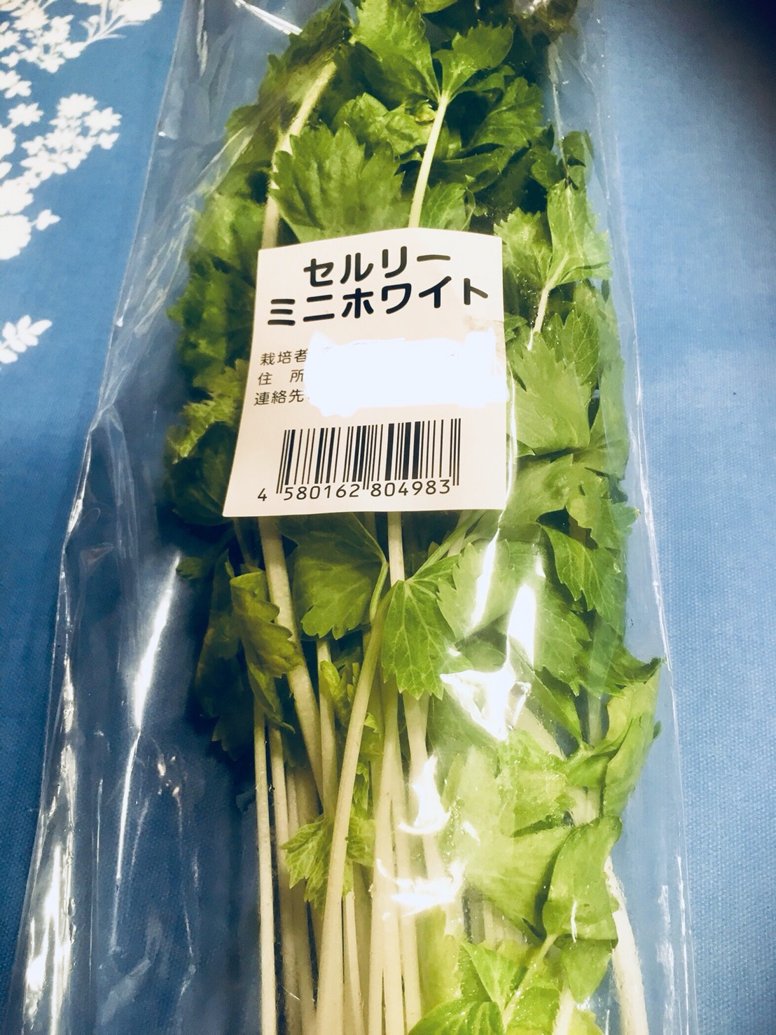 ♪育ってきた～環境が～違うから～♪