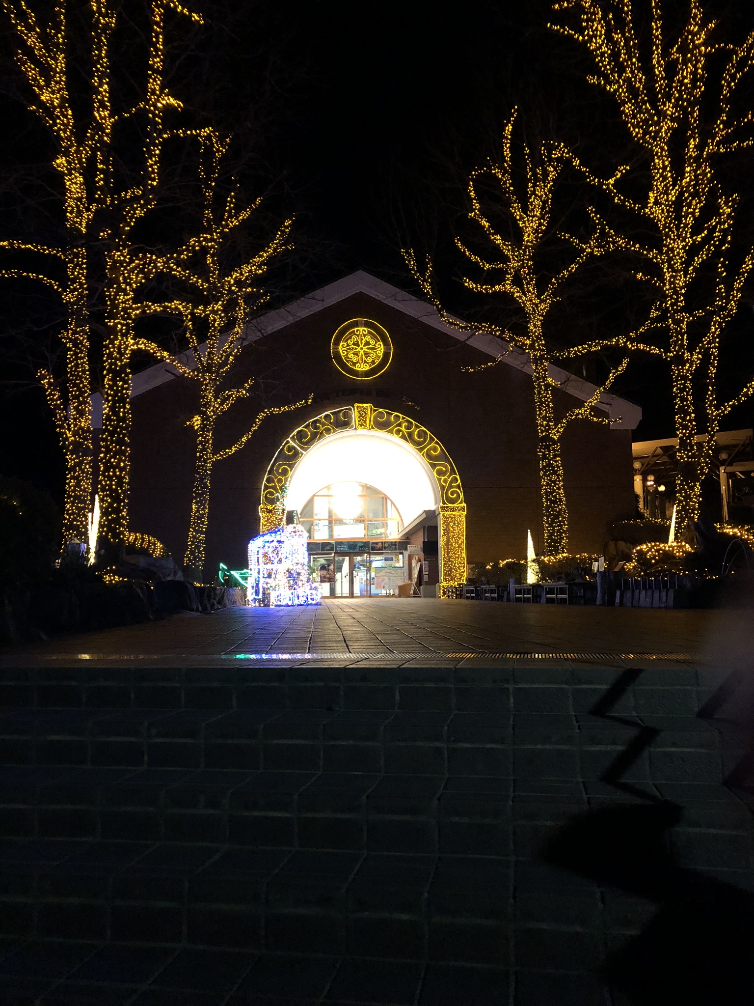 イルミネーション