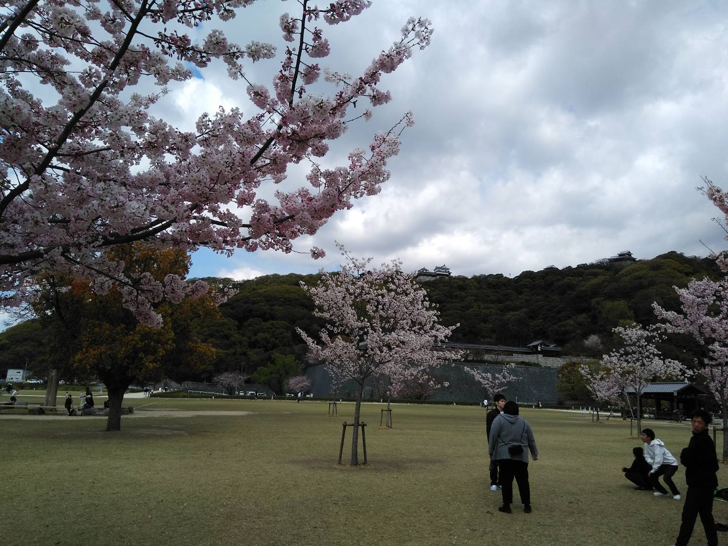 今日から新年度です