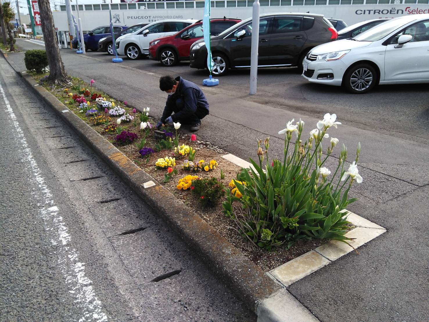 今日から新年度です