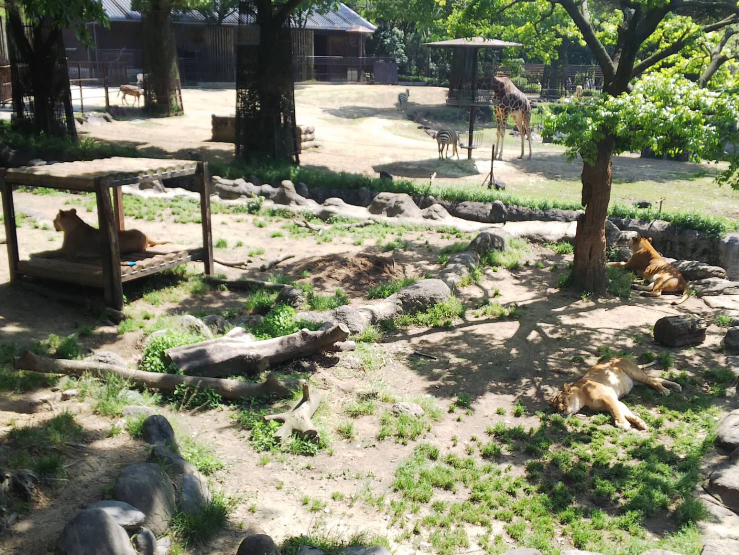 動物園