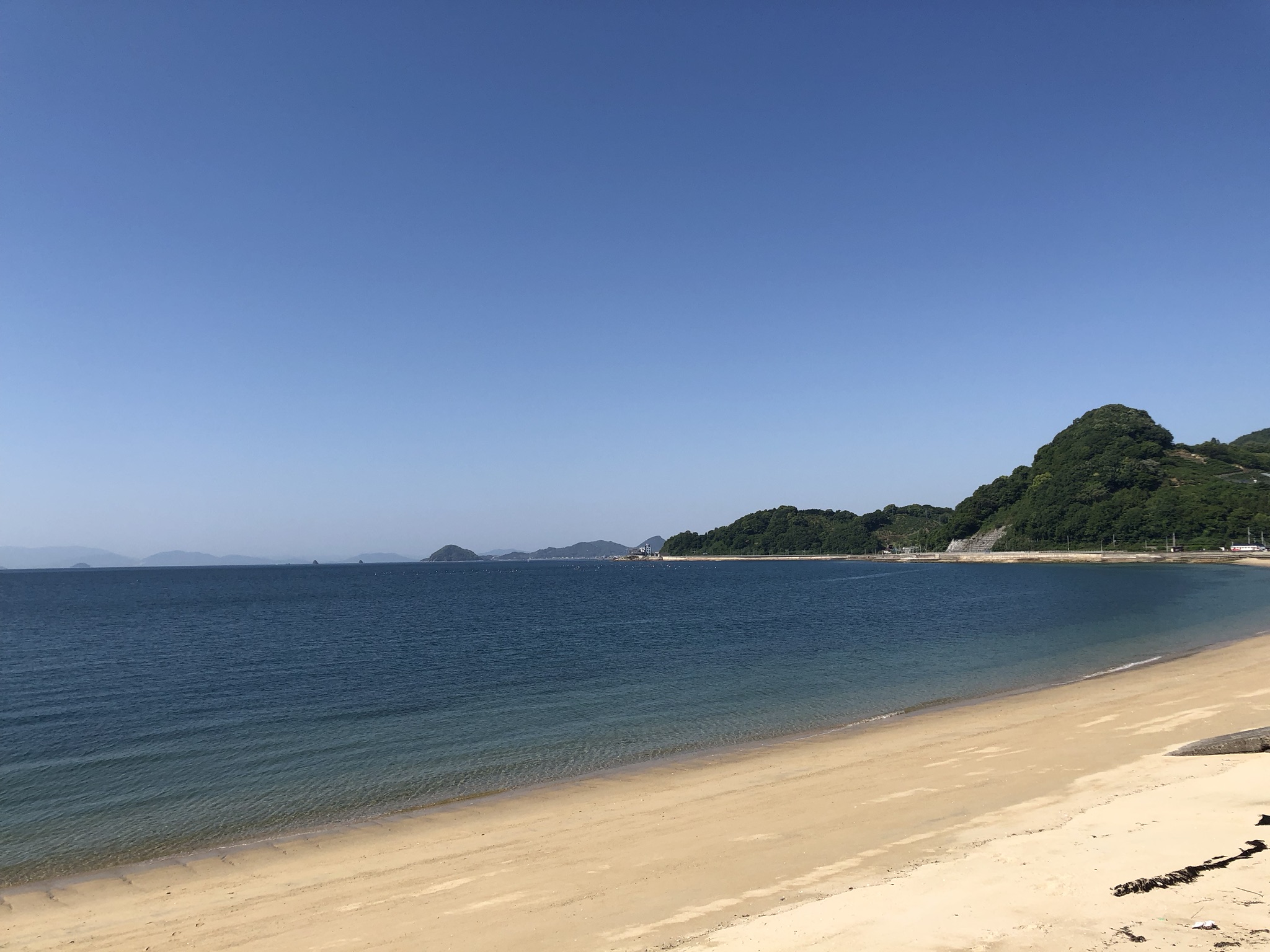 初夏