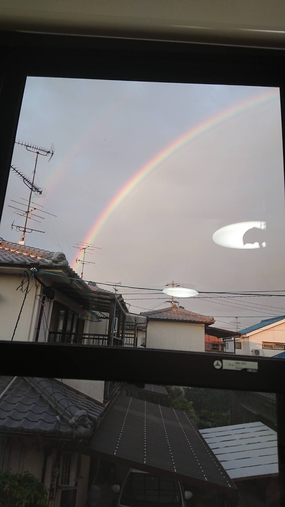 虹ハンティング