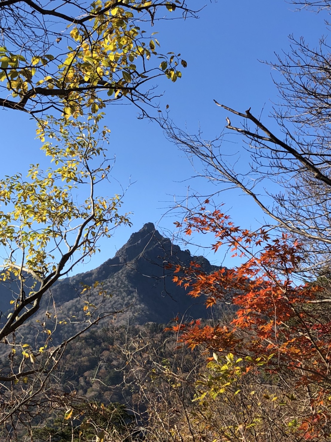 山