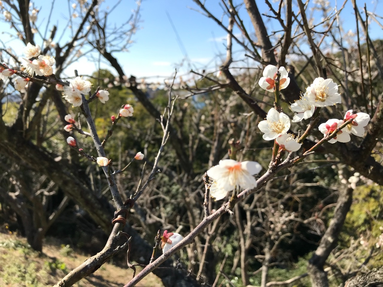 今日から２月です！  