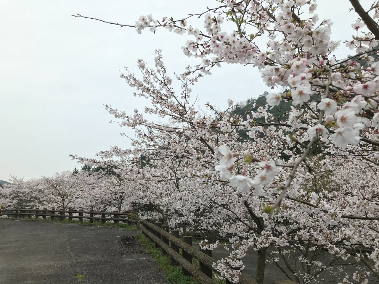 ４月１日です