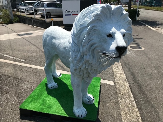 今日から5月です