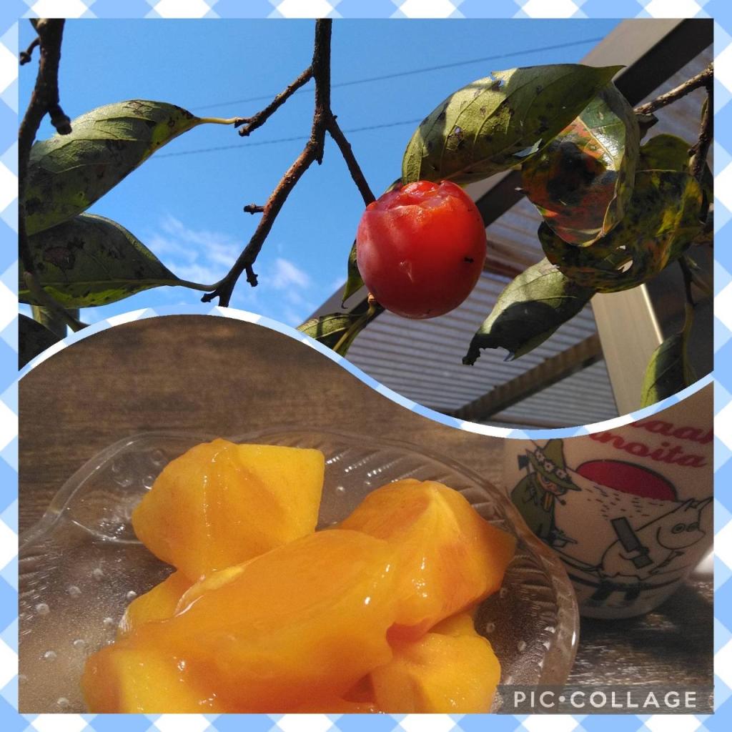 旬はあっという間に。