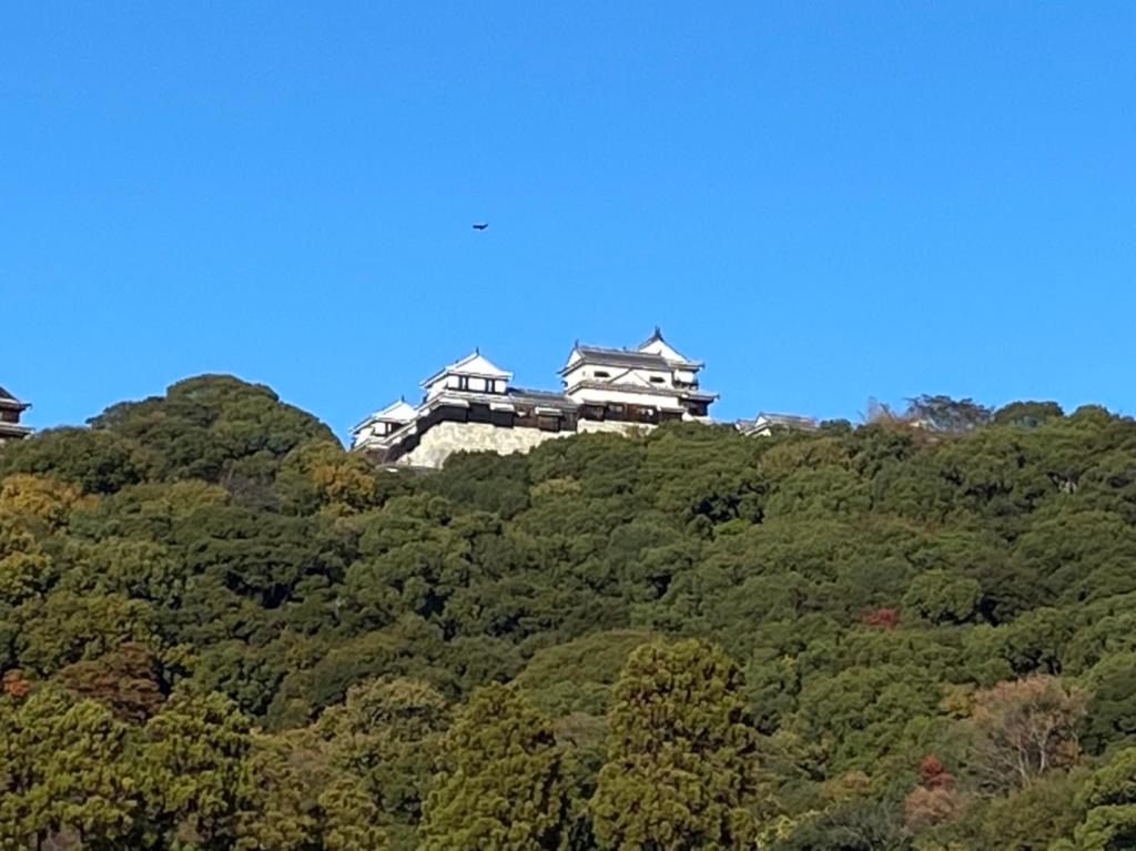 年末の御挨拶