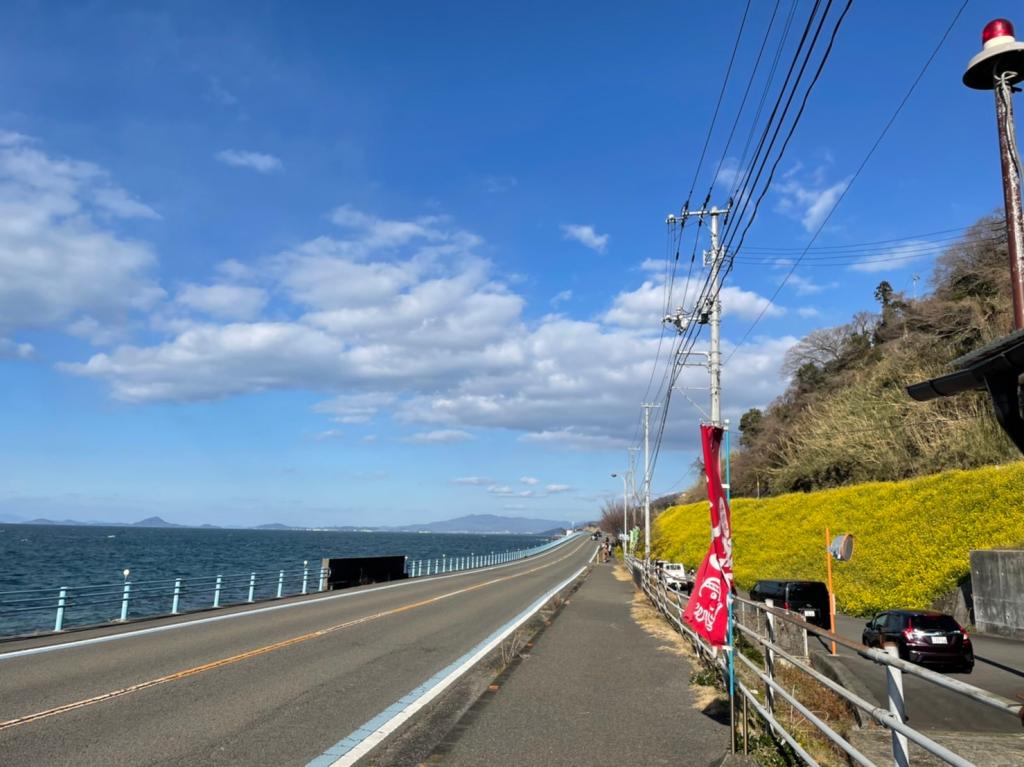 海と菜の花