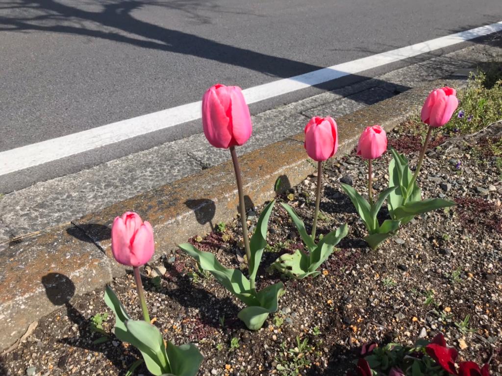 ４月になりました