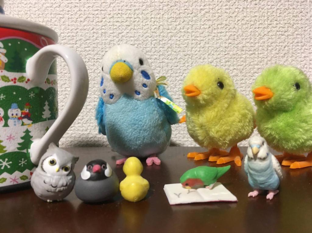インコグッズ‼︎