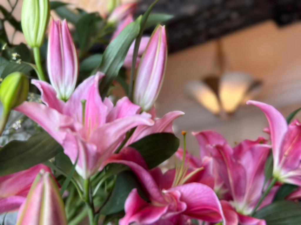 １２月も半月が経ちました