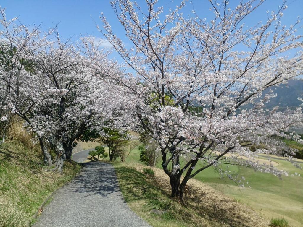 【2023年3月終了】