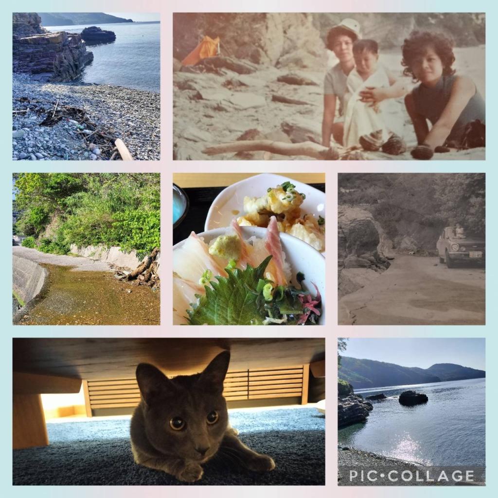 社会復帰（笑）