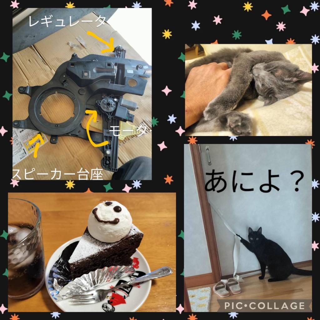 かぼちゃの季節ですね~♪
