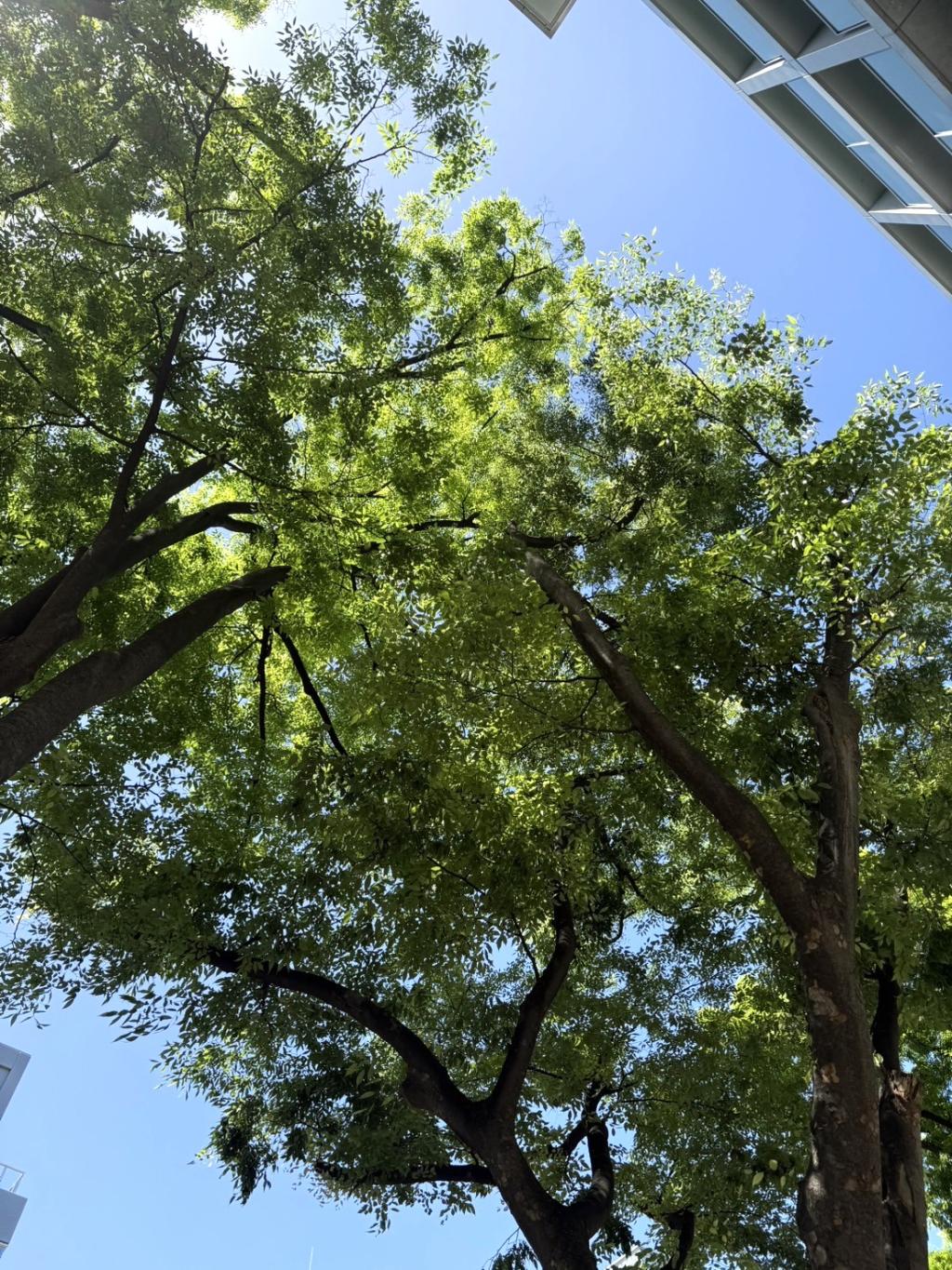 思索な日々