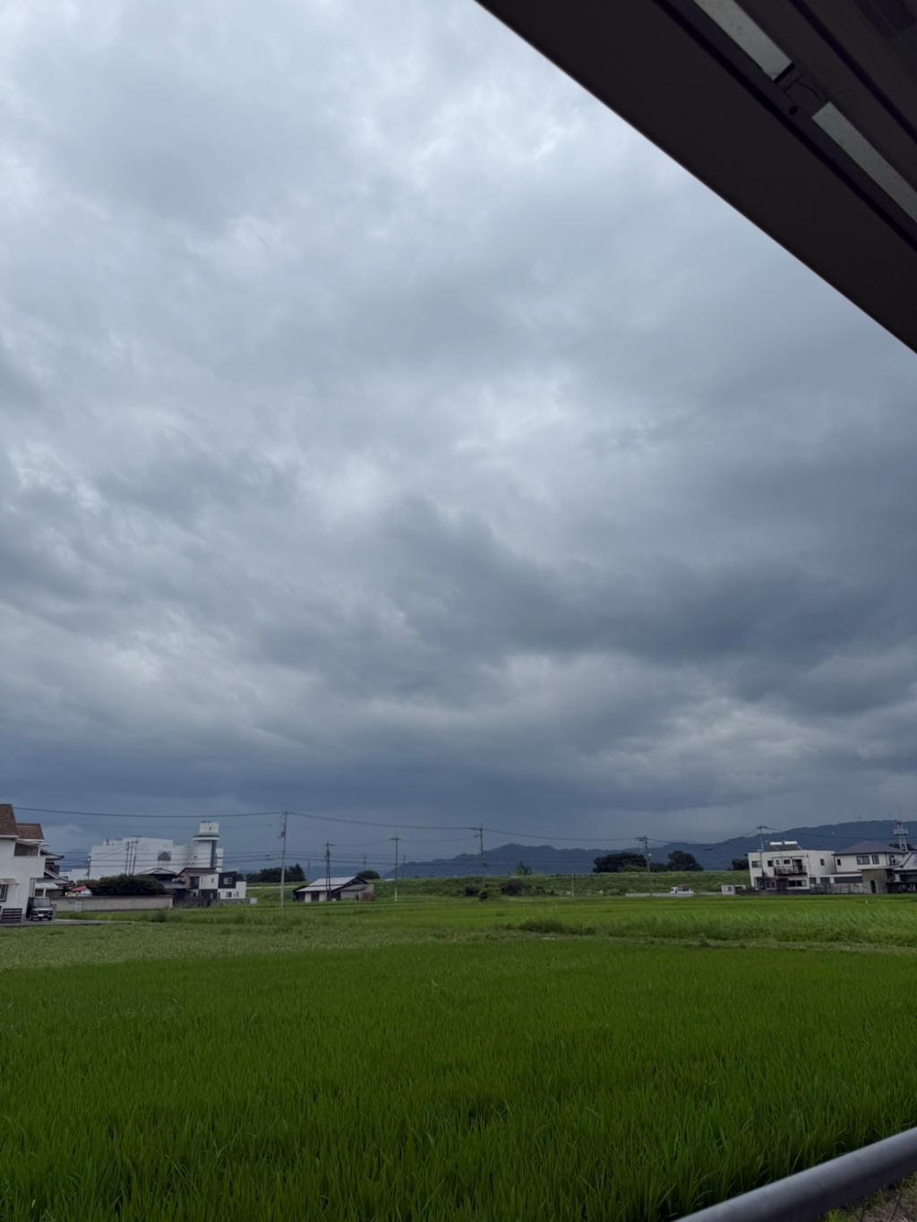 暑さに負けて