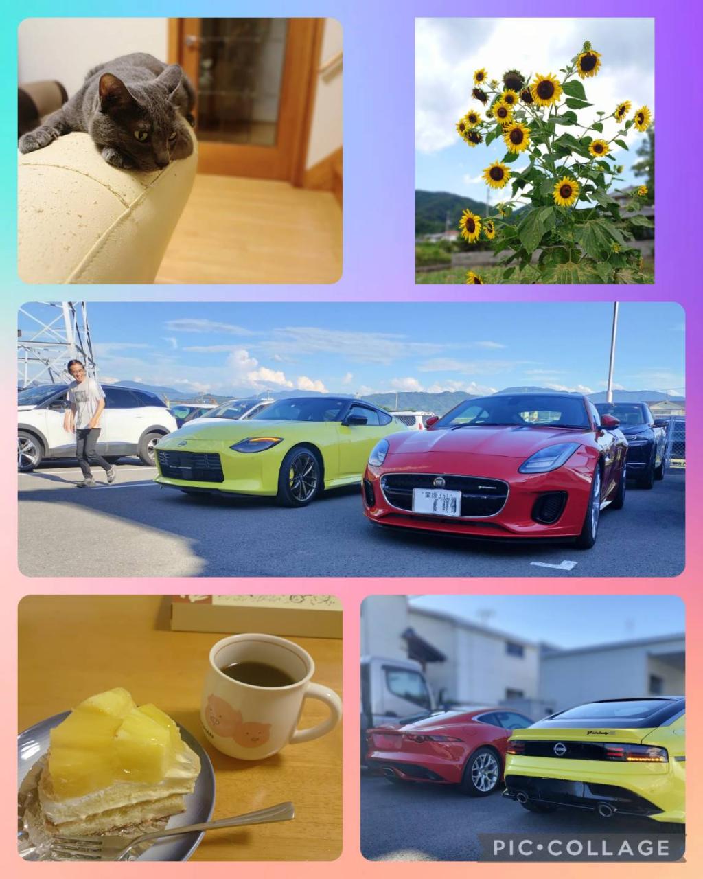 芸術