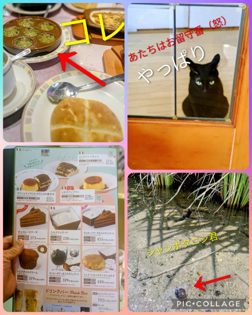 お手頃♪エスカルゴ