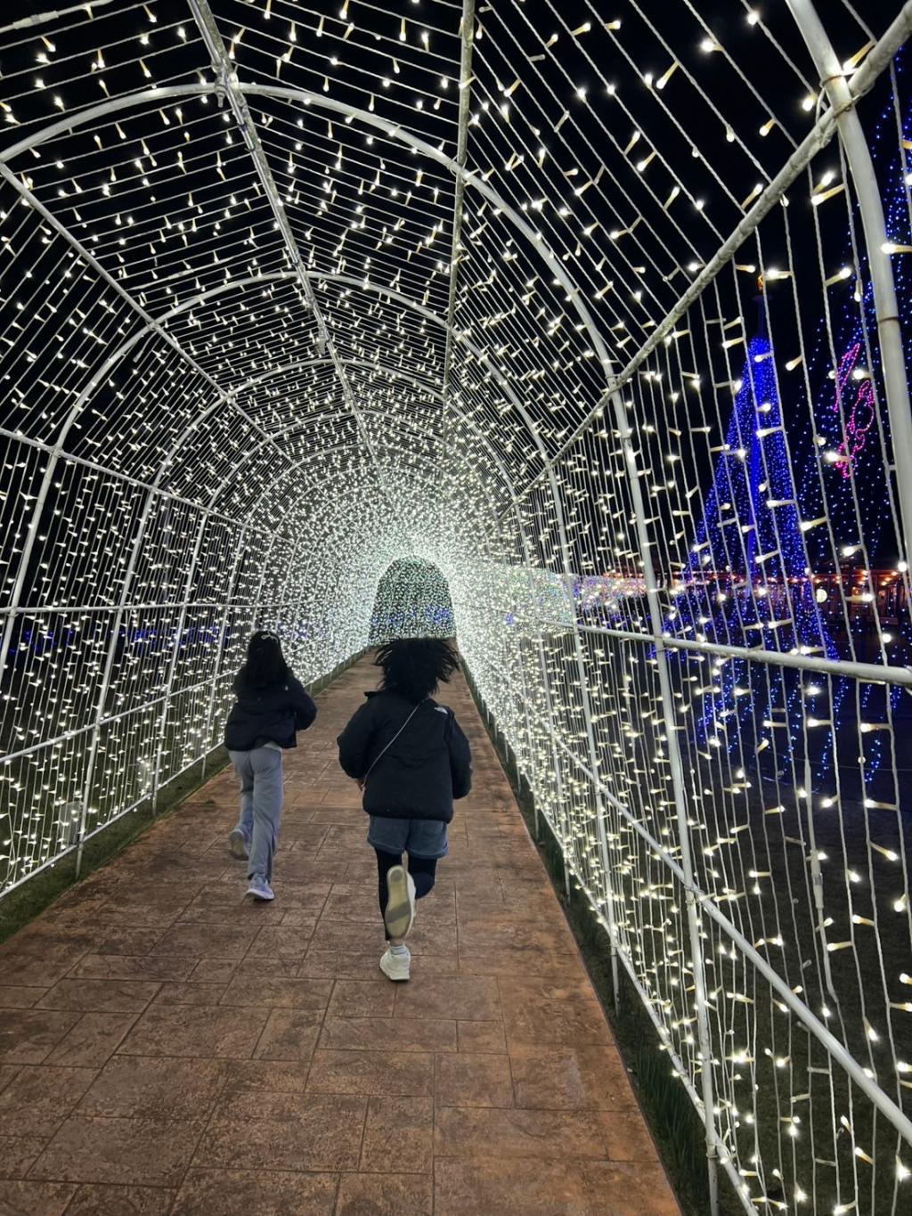 イルミネーション