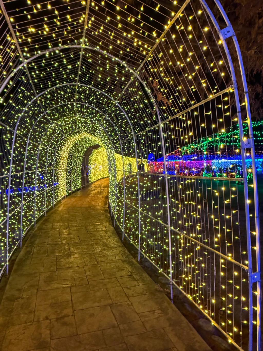 １２月も半月が経ちました