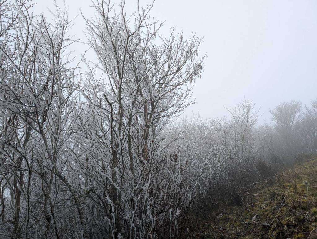 人生初の赤星山