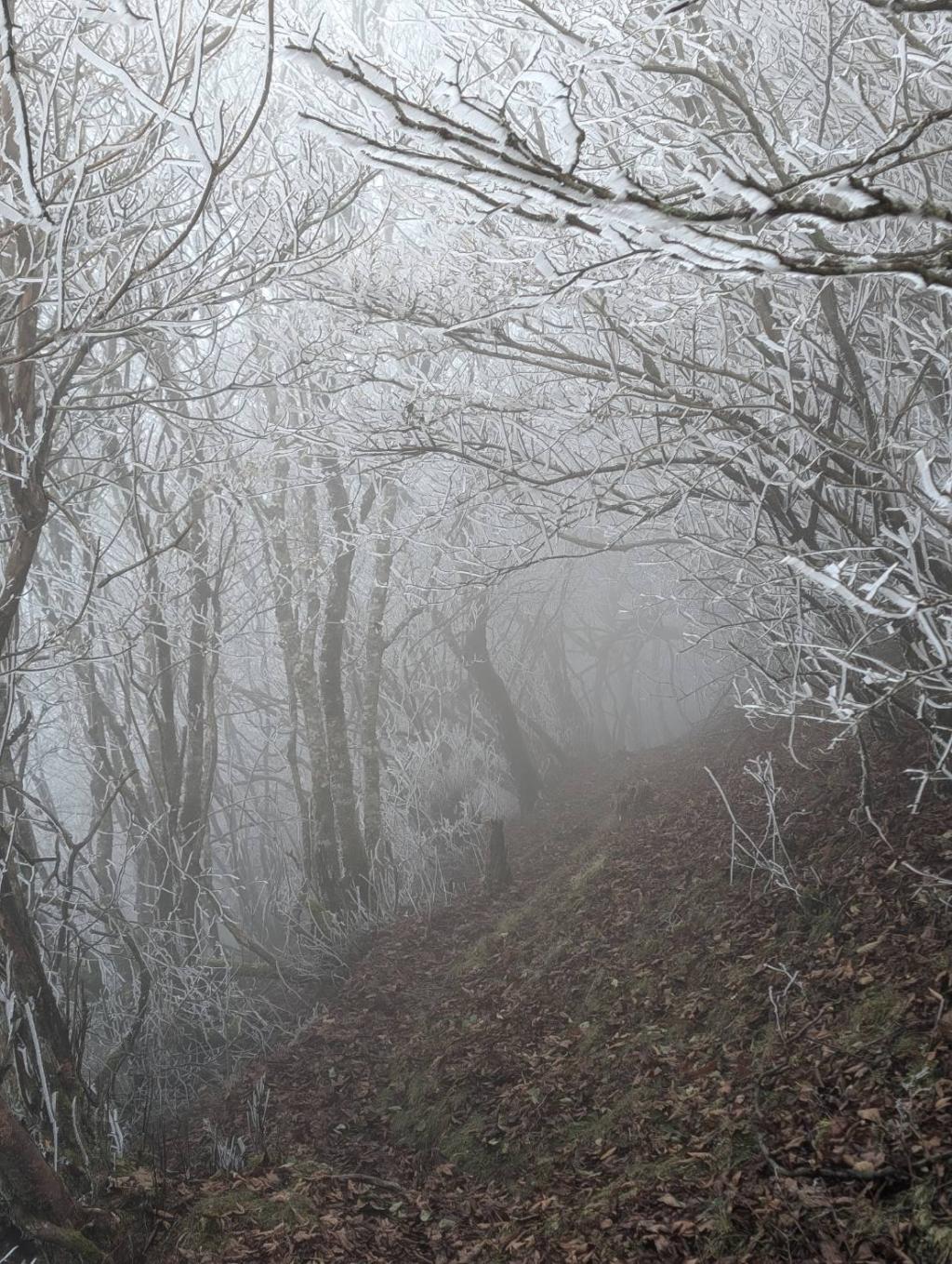 人生初の赤星山