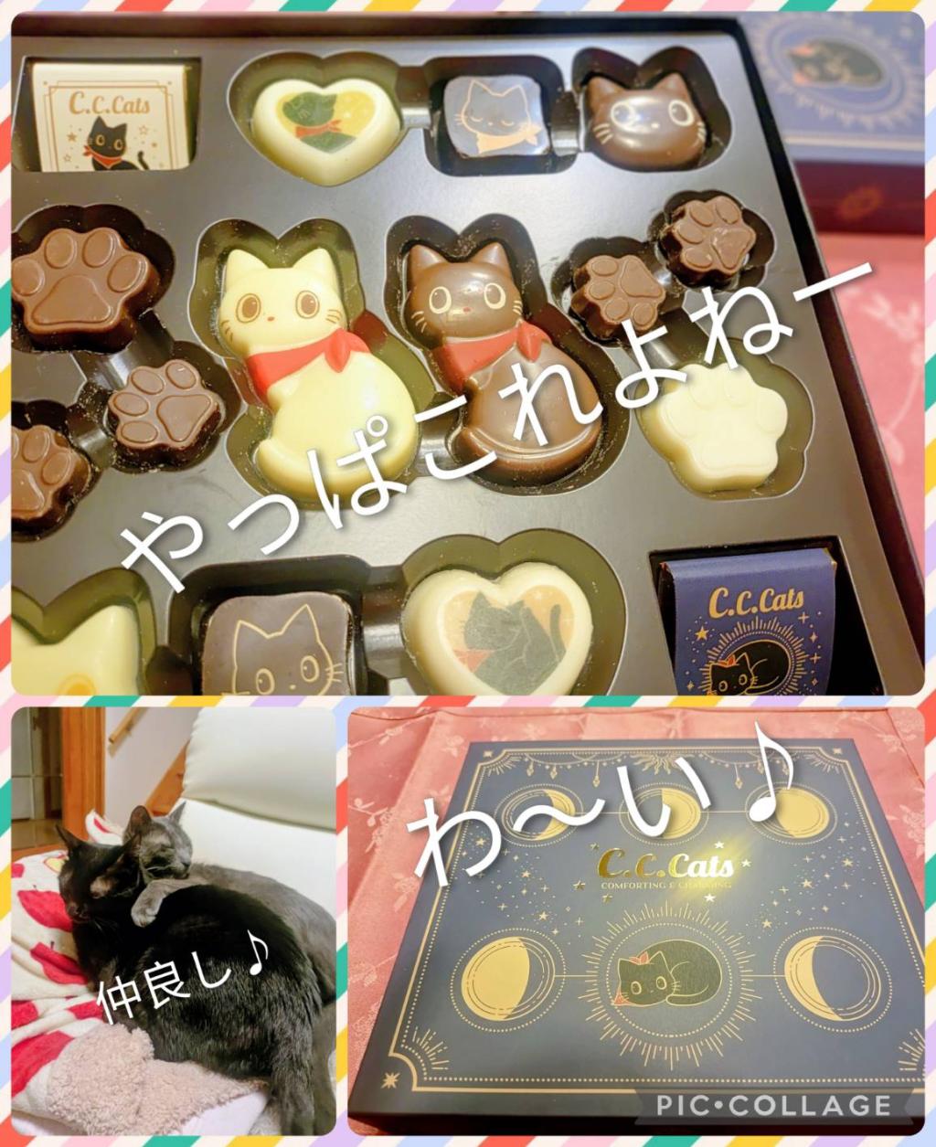 これぞステータス！