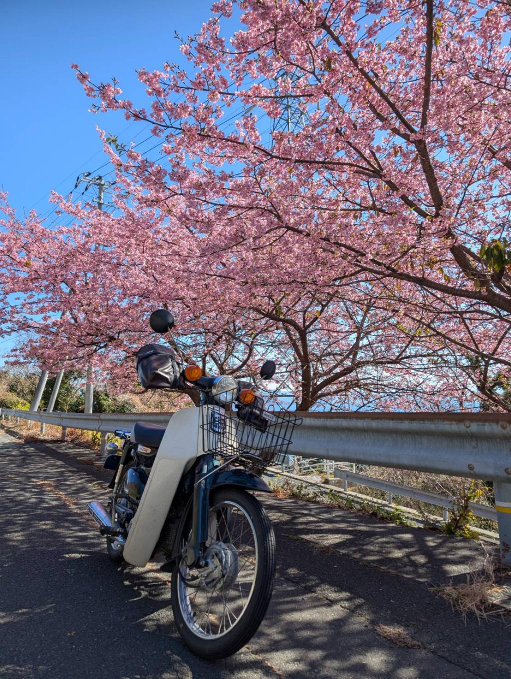 春と亀ヶ池温泉