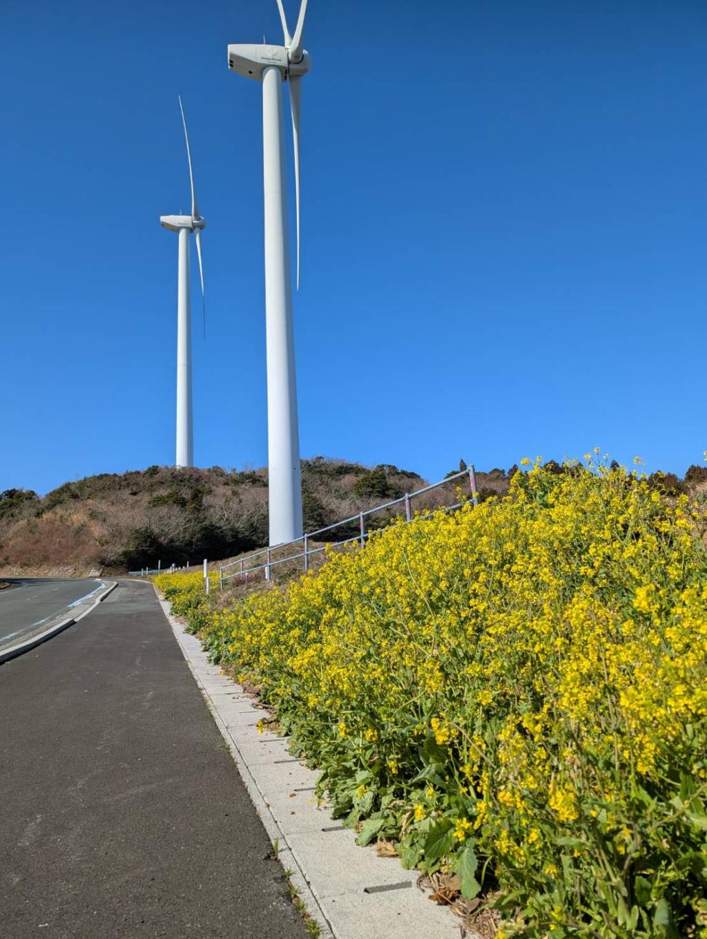 春と亀ヶ池温泉