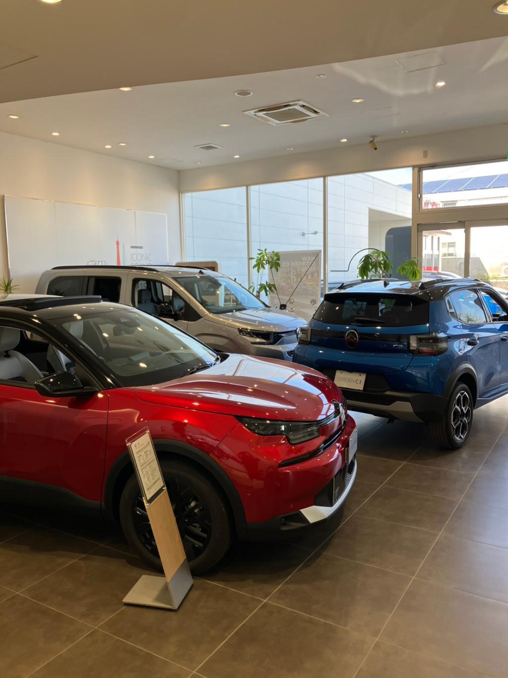 ショールーム展示車紹介❗️