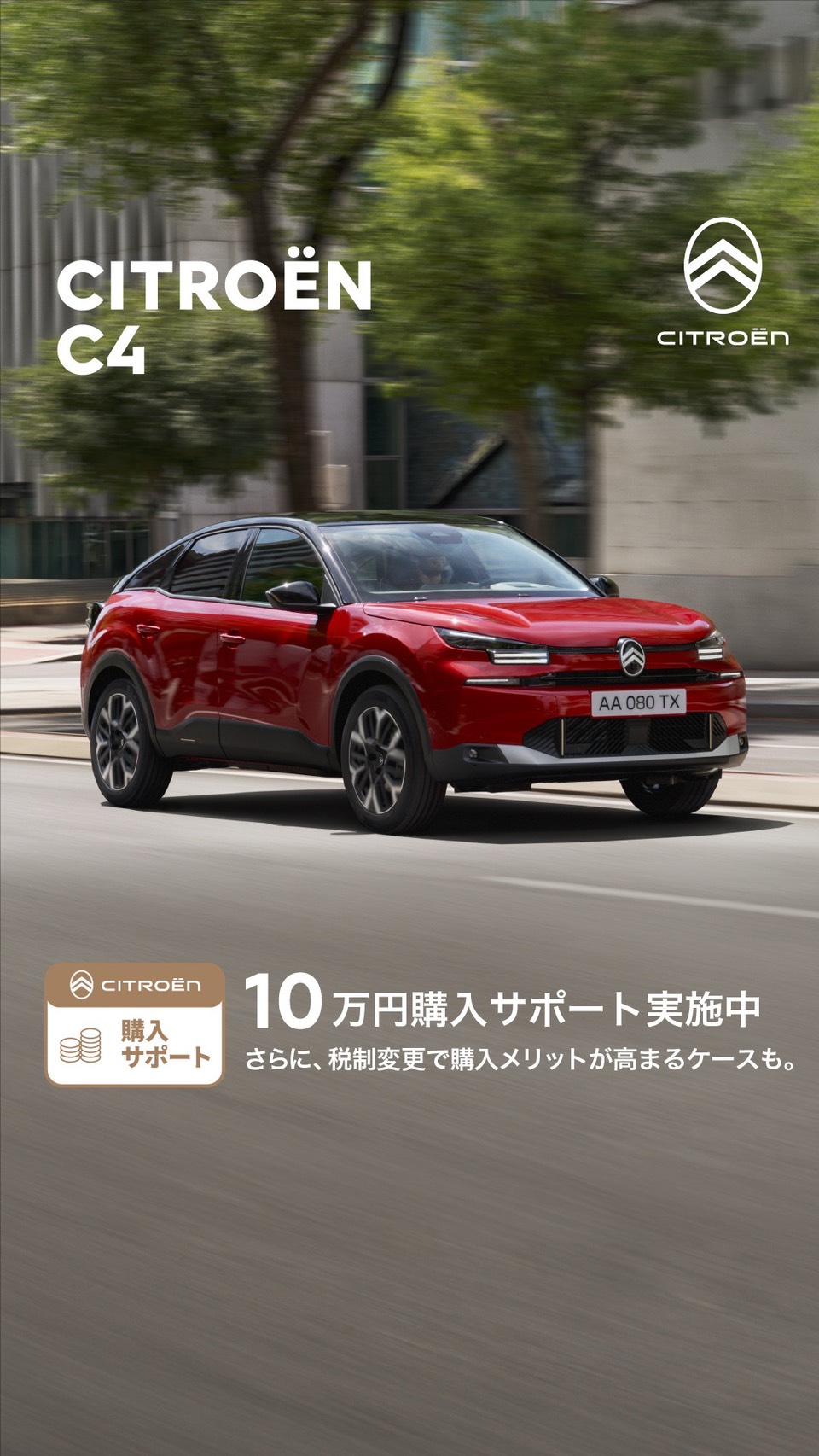 購入サポート実施中❗️