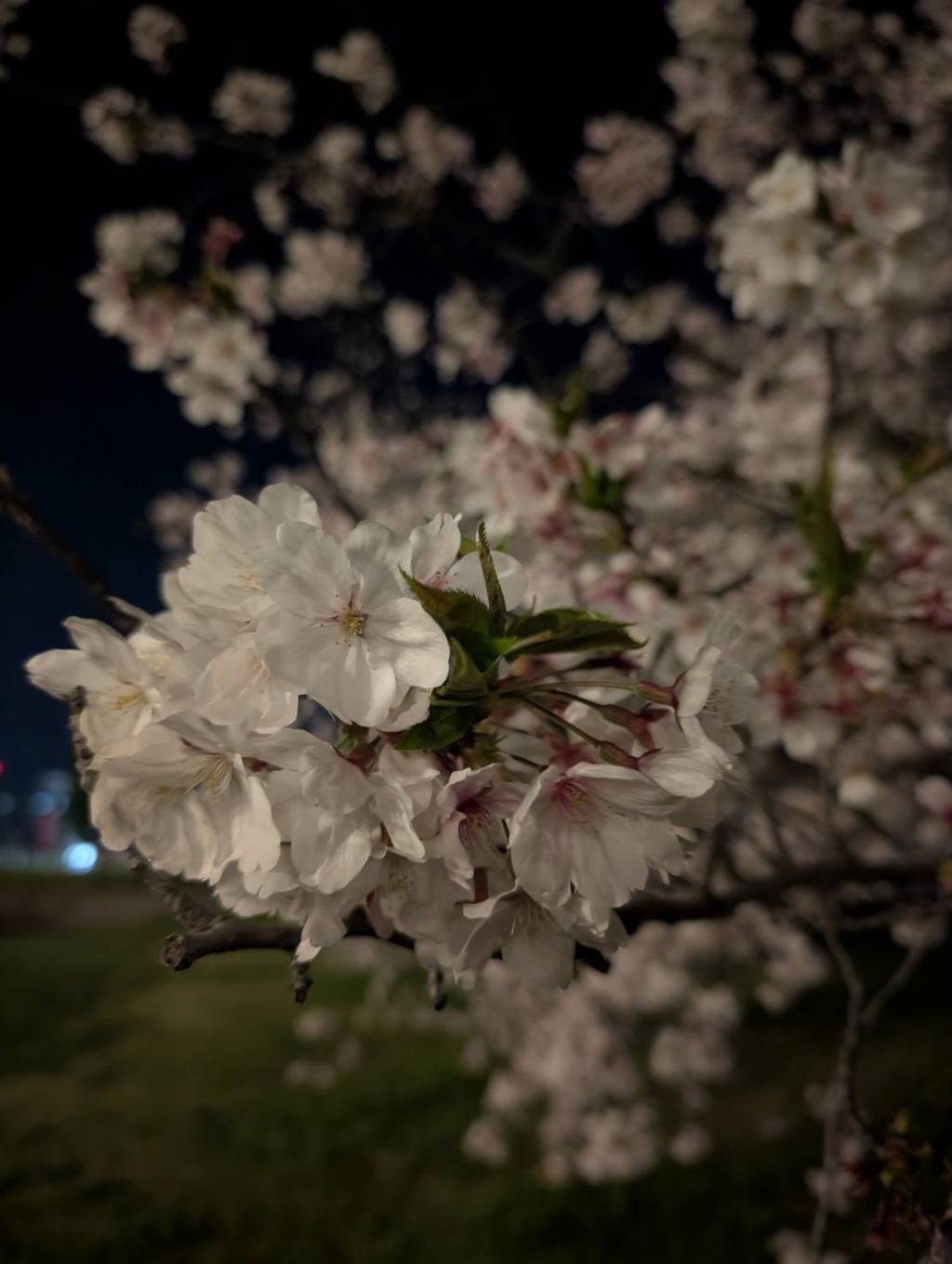 休日の過ごし方♪