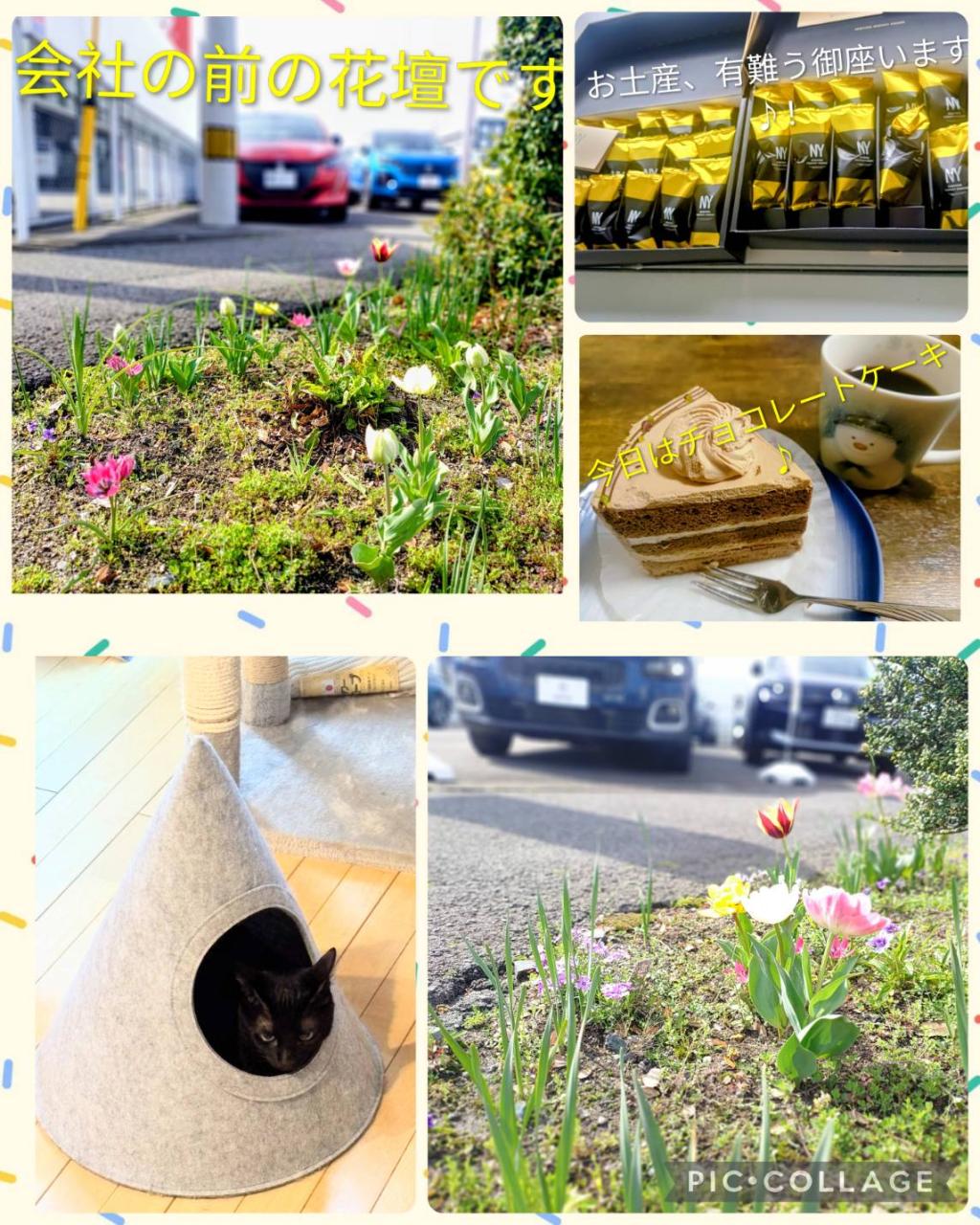 タケノコのようにニョキニョキ伸びていく毎日