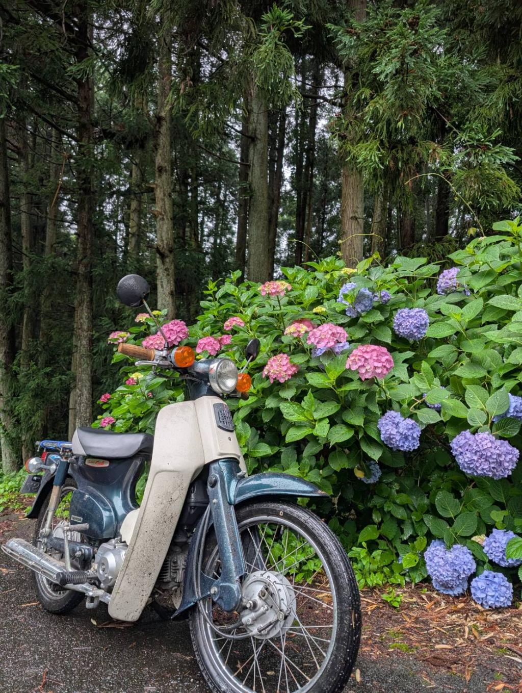塩塚高原の山頂から