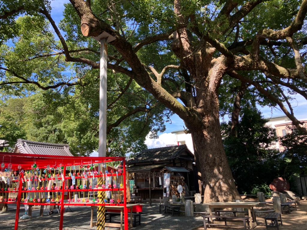 風鈴🎐