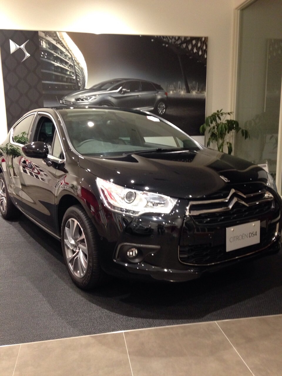 DiScover DS TestDrive Campaign