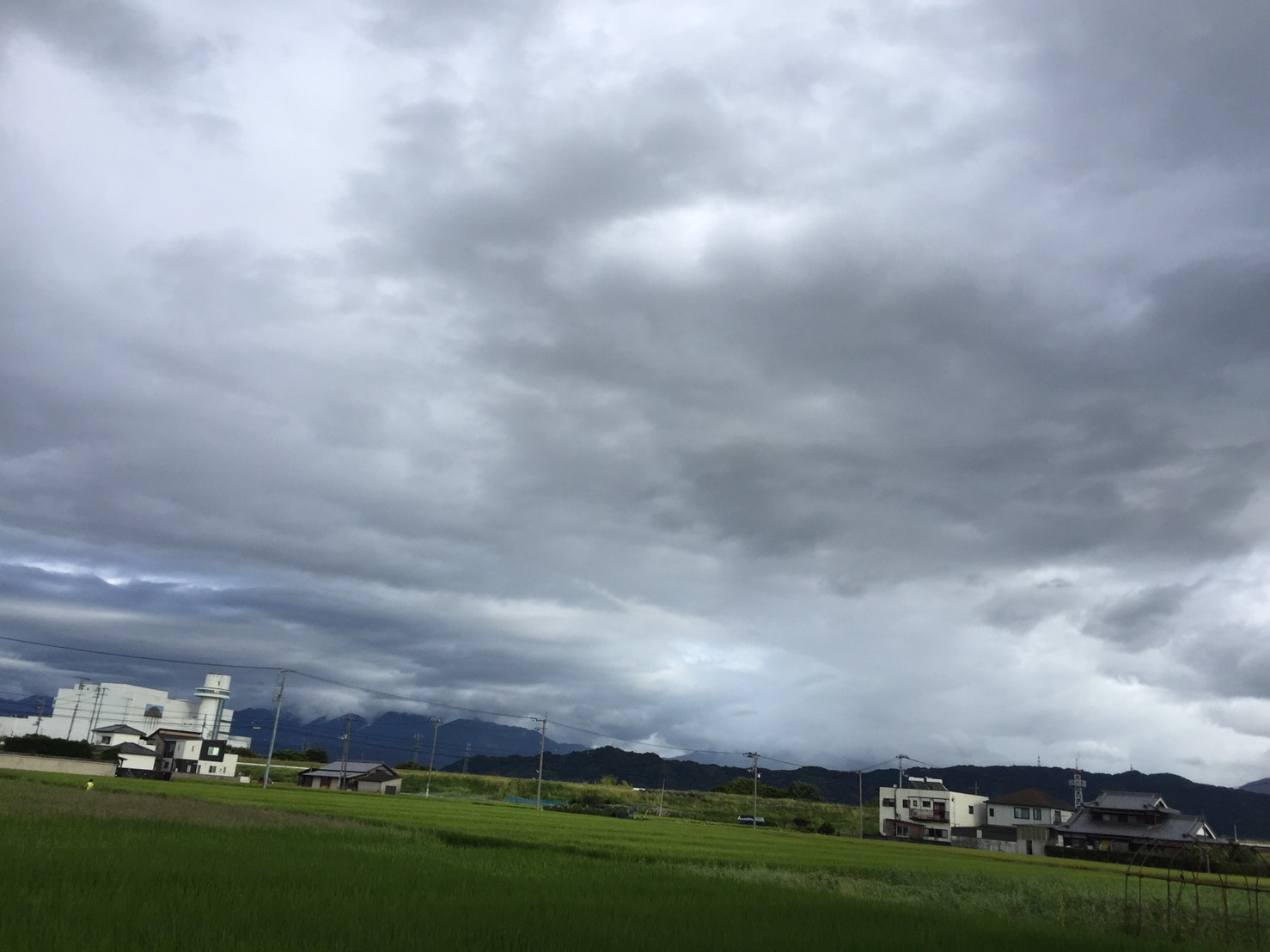 油膜取り