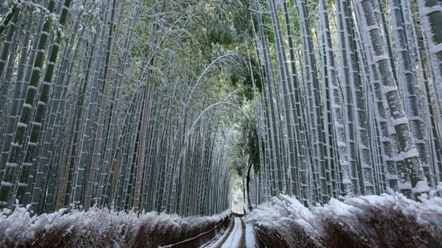 【雪中行軍】