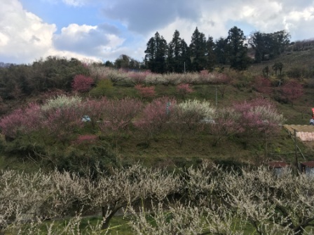 季節の変わり目