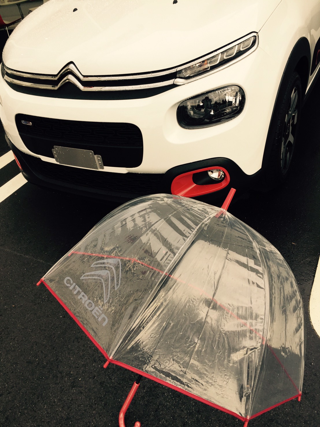 食わず嫌いだったもの。