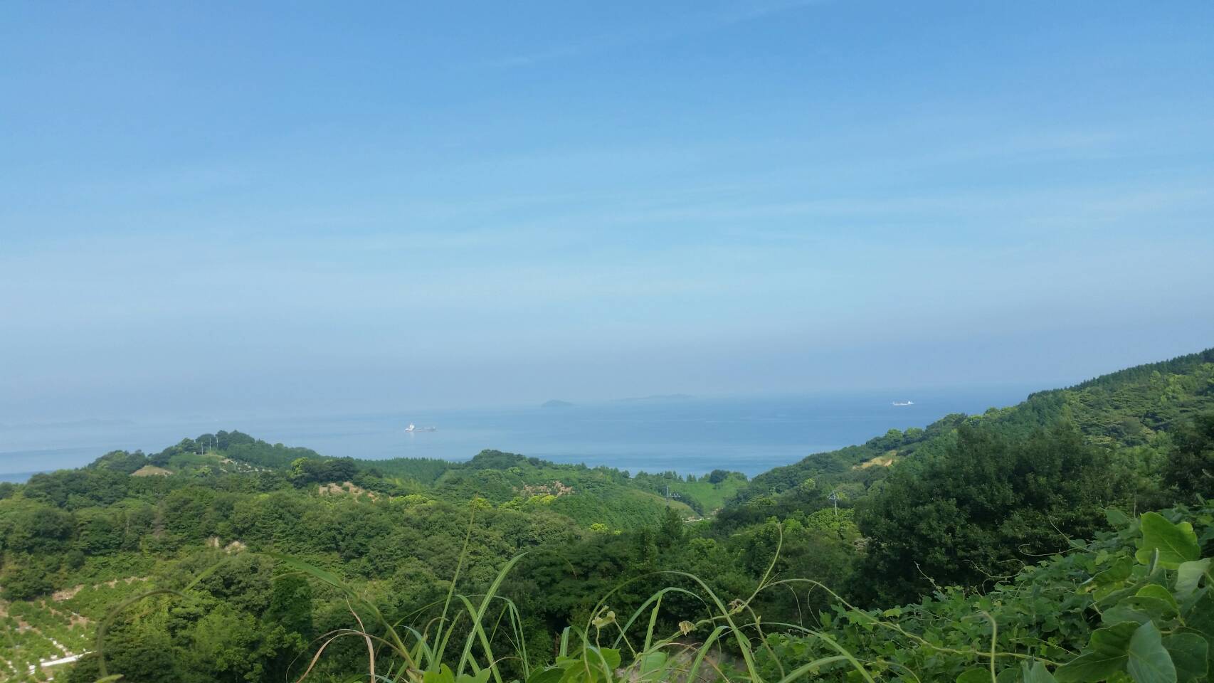 夏休み！
