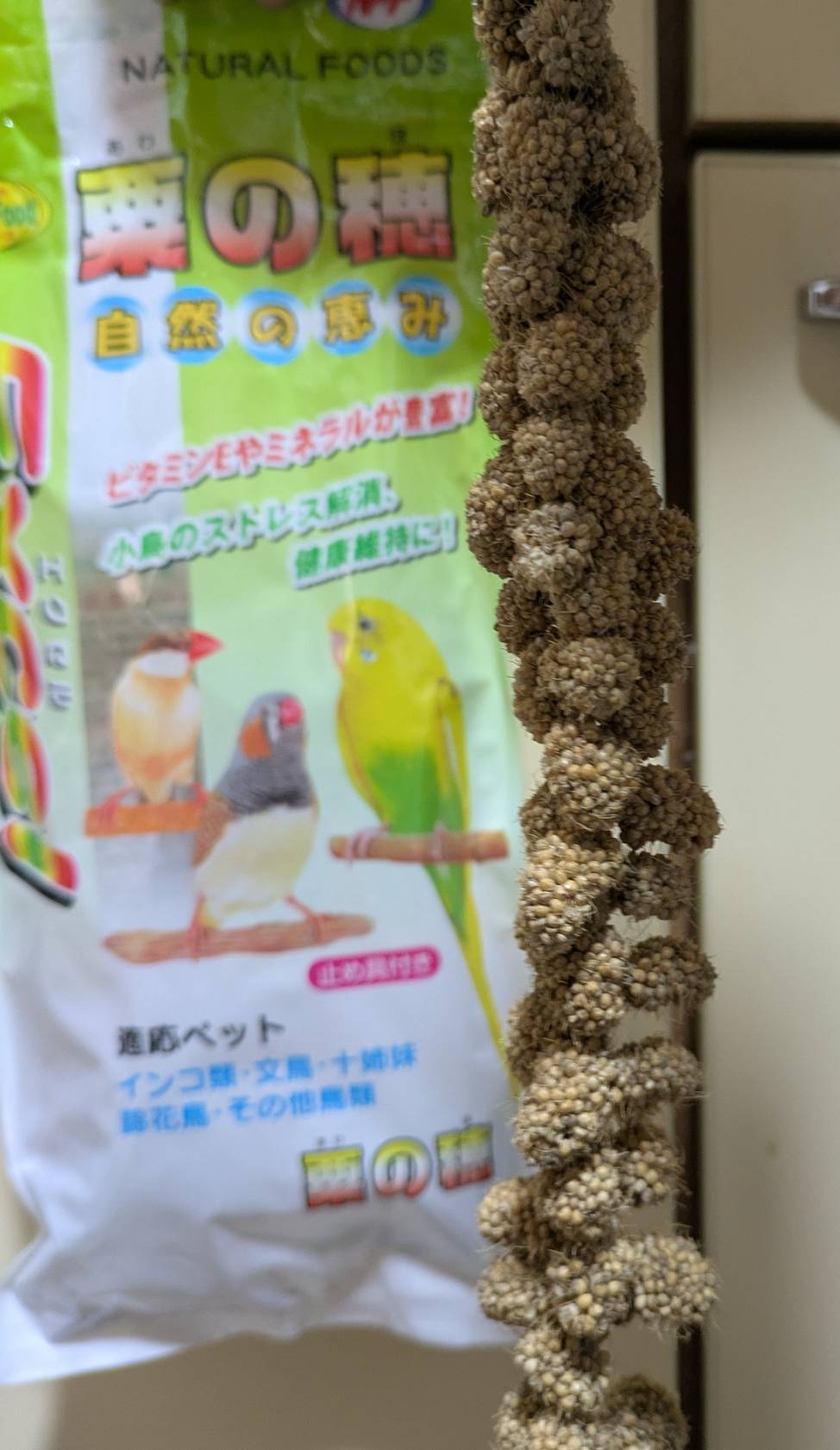 インコのおやつ