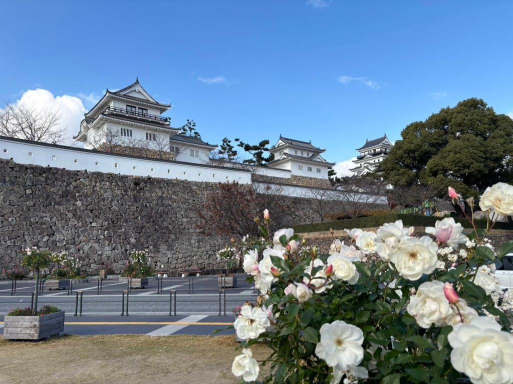 １２月も半月が経ちました